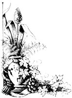 OFL013E.TIF