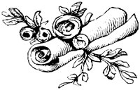 OFL012O.TIF