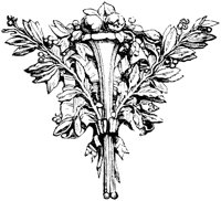 OFL012E.TIF