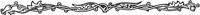 OFL011V.TIF