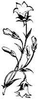 OFL011O.TIF