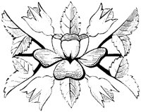 OFL011N.TIF