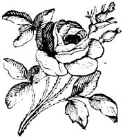 OFL032J.TIF