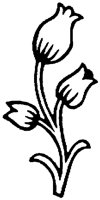 OFL031Q.TIF