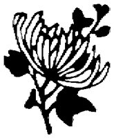 OFL031L.TIF