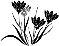 OFL030X.TIF