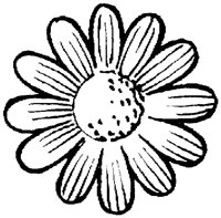 OFL030P.TIF