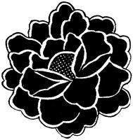 OFL029G.TIF