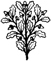 OFL028M.TIF