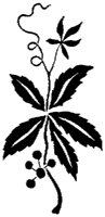 OFL028G.TIF
