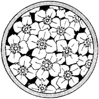 OFL027M.TIF