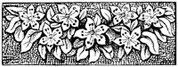 OFL027B.TIF
