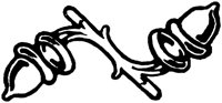 OFL026J.TIF