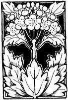 OFL025W.TIF