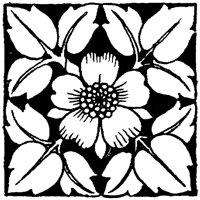 OFL025C.TIF