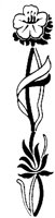 OFL023T.TIF