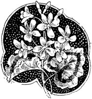 OFL022C.TIF