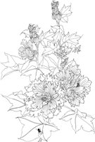OFD094A.TIF