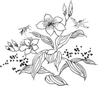 OFD093C.TIF