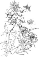 OFD088A.TIF