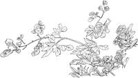 OFD087D.TIF