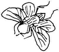 OFD087C.TIF