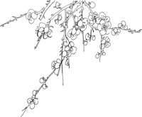 OFD085A.TIF