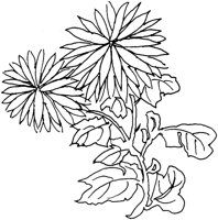OFD084C.TIF