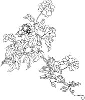 OFD084A.TIF