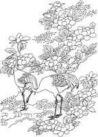 OFD081A.TIF
