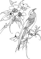 OFD080A.TIF