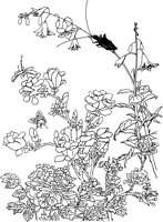 OFD078A.TIF