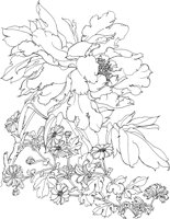 OFD076A.TIF