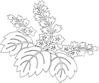 OFD074D.TIF