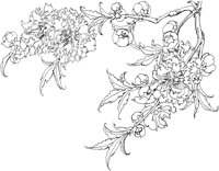 OFD073A.TIF