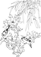 OFD072A.TIF