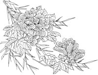 OFD071A.TIF
