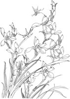 OFD068A.TIF
