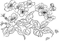 OFD066C.TIF