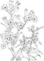 OFD064A.TIF