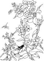 OFD053A.TIF