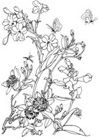 OFD052A.TIF