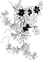 OFD051A.TIF