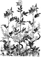 OFD050A.TIF