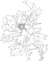 OFD049A.TIF