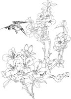OFD048A.TIF