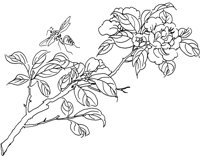 OFD047A.TIF