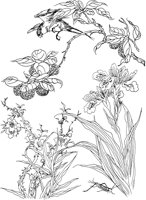 OFD046A.TIF