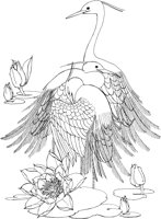 OFD045A.TIF