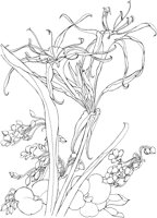 OFD044A.TIF